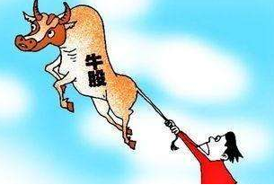 霸占大牛股