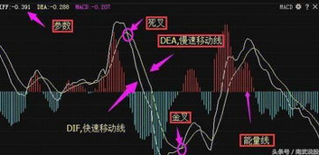 金叉和死叉