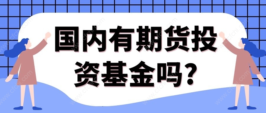 国内有期货投资基金吗?